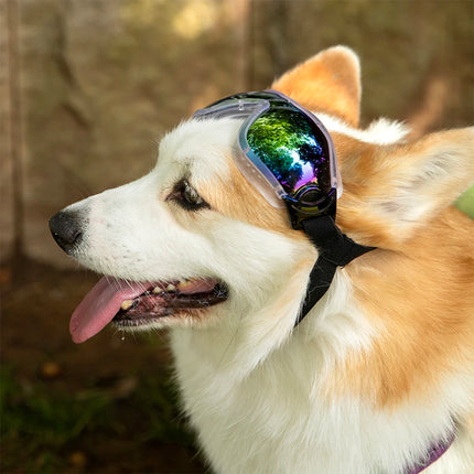 Gafas de sol para perros resistentes al viento y a los rayos UV, ajustables, para perros medianos y grandes