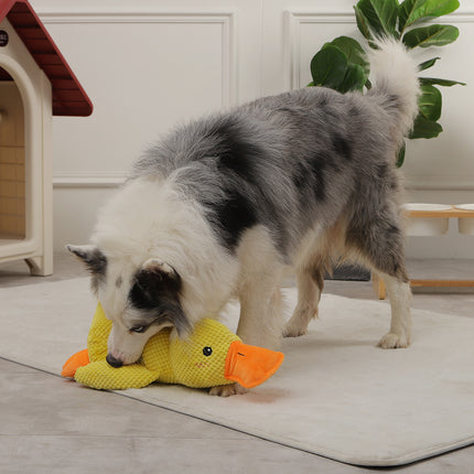 Juguete interactivo para perros con forma de pato y chirriador