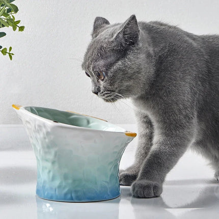 Gamelle en céramique pour chat et petit chien avec motif à pied haut