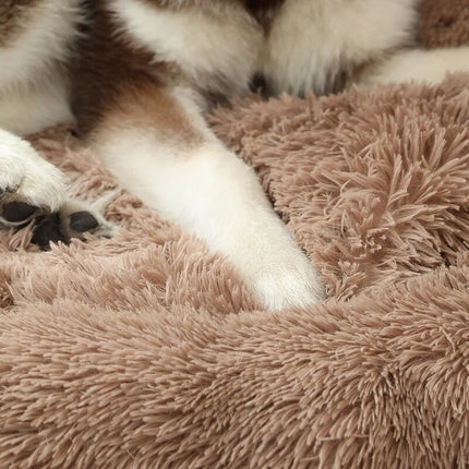 Luxury Breathable Dog Bed