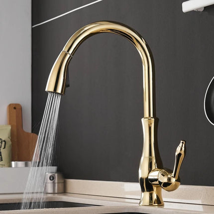 Gold Pull Out Kitchen Faucet - Wnkrs