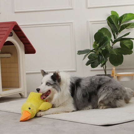 Juguete interactivo para perros con forma de pato y chirriador