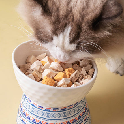 Gamelle surélevée en céramique pour chat