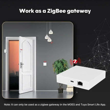 Zigbee Matter Thread Gateway