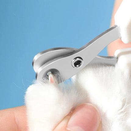 Coupe-ongles de précision pour chiens et chats de petite et moyenne taille avec protection de sécurité