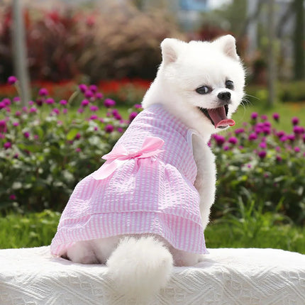 Vestido de princesa para perro