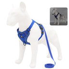 S 2-4 kg / Blue