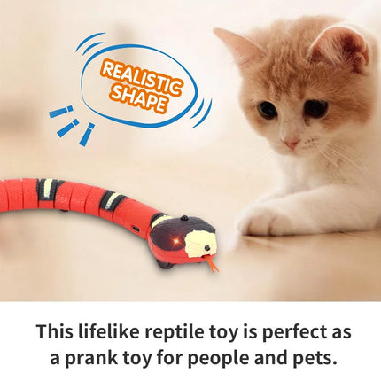 Jouet serpent intelligent rechargeable par USB pour chats et chiens