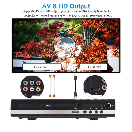 All-Region DVD and CD Player with AV Output