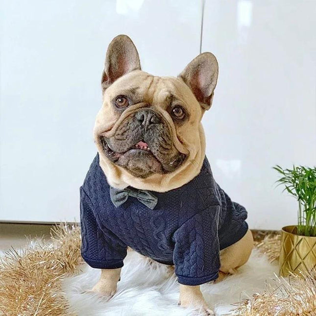 Abrigo de moda para perros con pajarita