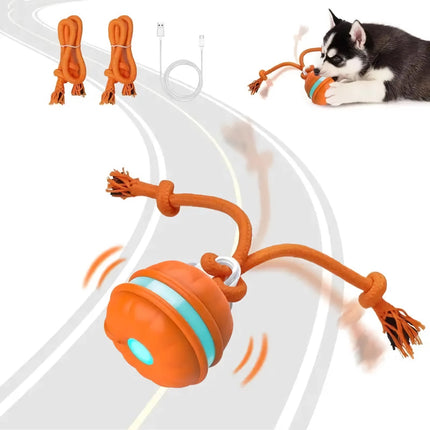 Balle roulante interactive activée par le mouvement pour chiots et chats