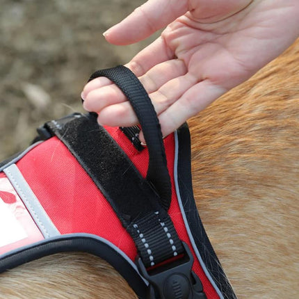 Conjunto de arnés y correa reflectantes para perros medianos y grandes: perfecto para pasear golden retrievers y labradores