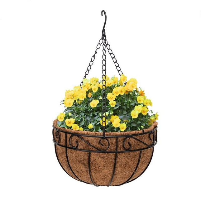 Elegant 10" Round Iron & Coconut Palm Hanging Basket Set - Wnkrs