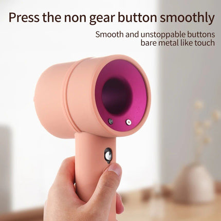 Premium Hair Dryer Protective Case - Wnkrs