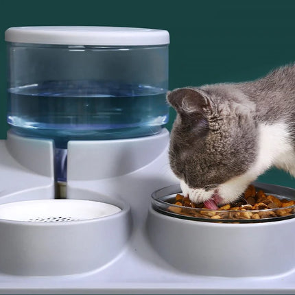 Ensemble distributeur automatique d'eau et de nourriture pour animaux de compagnie de 1,8 L pour chats et chiens