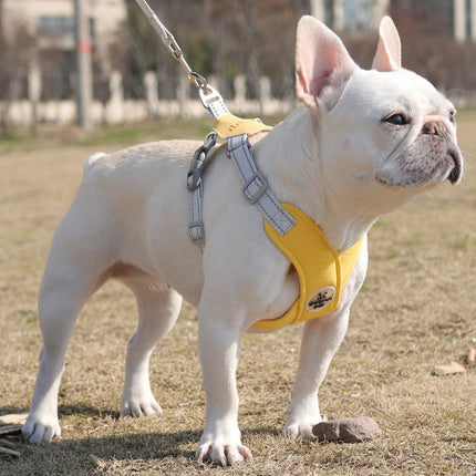 Arnés ajustable antitirones para perros con correa