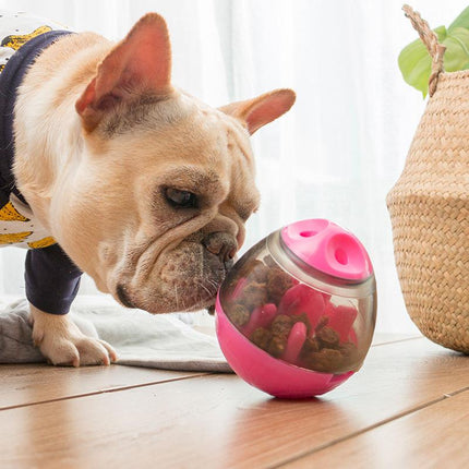 Interactive Pet Food Ball