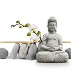 TA16202 / 60x80cm