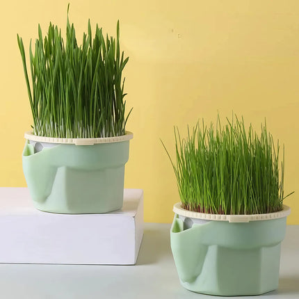 Hierarchical Cat Grass Cultivation Cup: Grow Fresh Catnip Easily