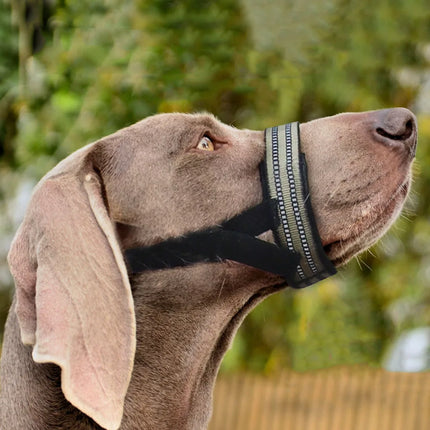 Bozal de nailon reflectante para perros