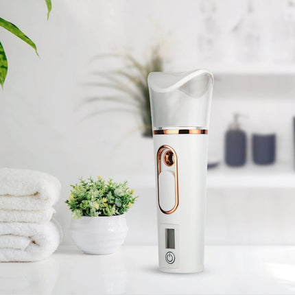 Pulvérisateur et nébuliseur facial rechargeable