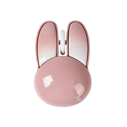 Souris sans fil double mode Bluetooth + 2,4 G