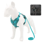 L 5-7.5 kg / Cyan