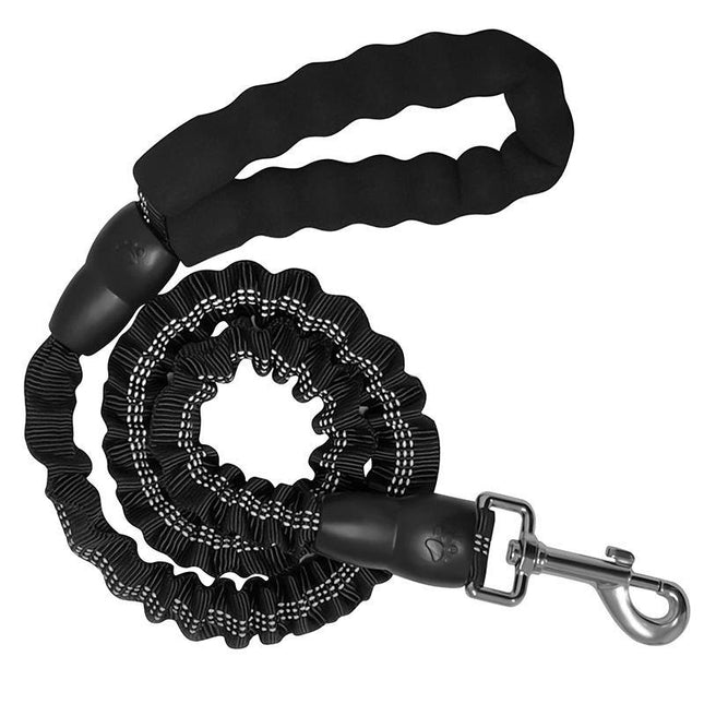 Laisse extensible pour chien