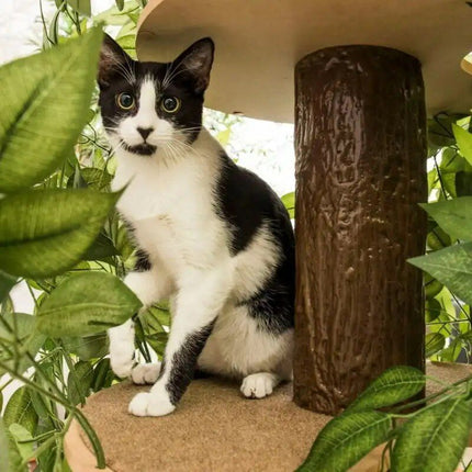 Multi-Level Indoor Cat Tree House with Interchangeable Silk Leaves - Wnkrs