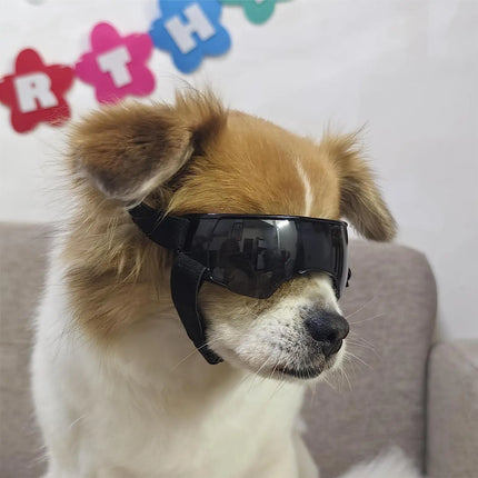 Gafas de sol para perros pequeños