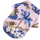 Pink palm / L