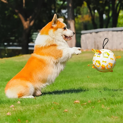 Jouet de football interactif pour chien avec languettes de préhension