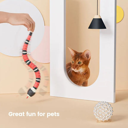 Teaser électronique automatique pour chat et serpent