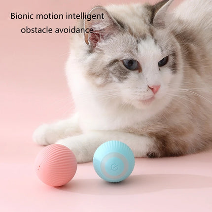 Jouet interactif intelligent pour chat avec balle