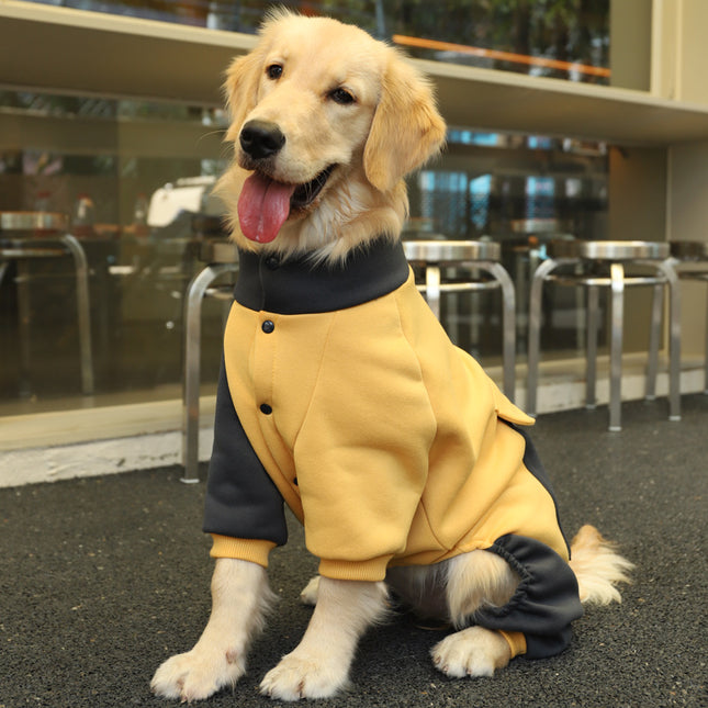 Sporty Big Dog Jacket