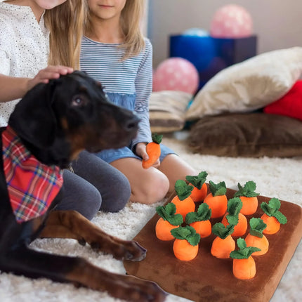 Jouet interactif en peluche pour chien en forme de ferme de carottes