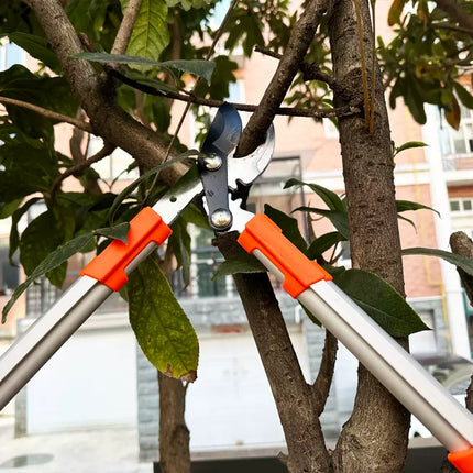 Professional Bypass Pruning Shears for Precision Garden Maintenance