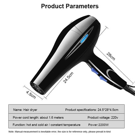 Secador de pelo profesional de 2200 W