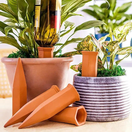 Juego de 4 púas de terracota para regar plantas