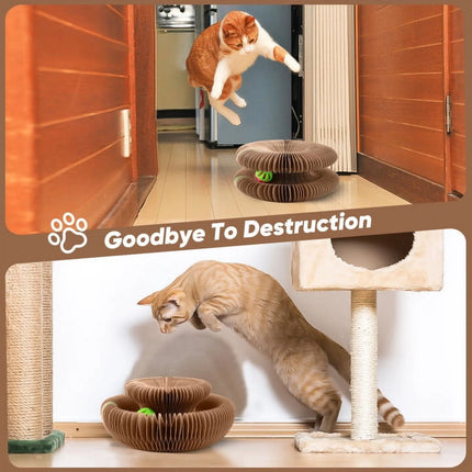 Planche à gratter pliable magique pour chat avec cloche