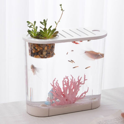 Réservoir en plastique transparent pour poissons rouges