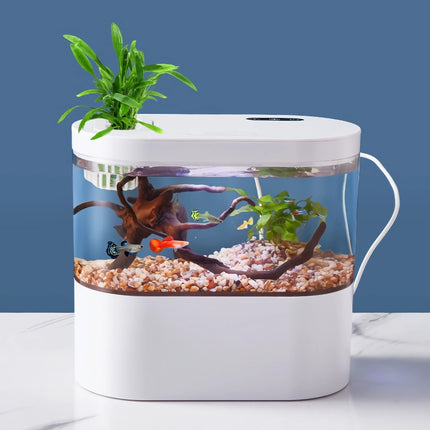 Mini aquarium à circulation automatique pour poissons rouges - Aquarium de table écologique