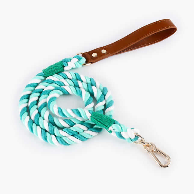 Laisse tressée durable pour chien sans enchevêtrement