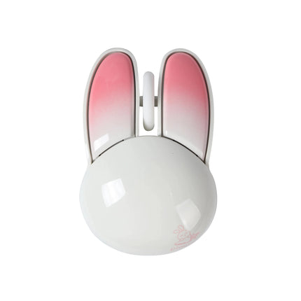 Souris sans fil double mode Bluetooth + 2,4 G