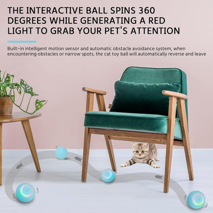 Jouet interactif intelligent pour chat avec balle