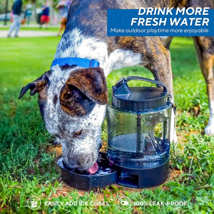 Dispensador de agua para mascotas de gran capacidad de 74 oz con recipiente extraíble