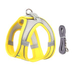 M / Yellow