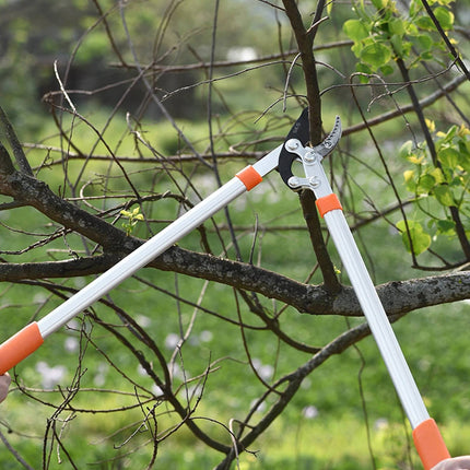 High-Efficiency Anvil Garden Shears