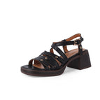 Black / 37