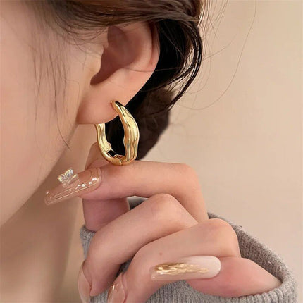 Luxurious Stainless Steel Geometric Hoop Earrings for Women - Wnkrs